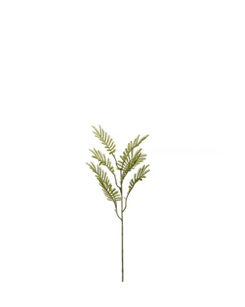 Konstgjord Grön Mimosakvist 65 cm